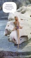 Bild 7/28