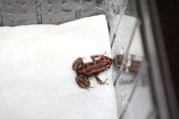 Bild 6/6