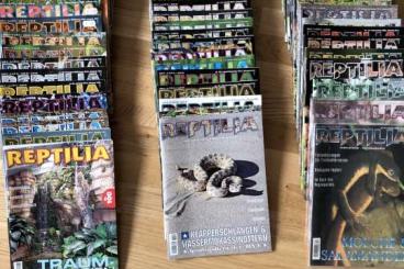 Books & Magazines kaufen und verkaufen Photo: Reptilia Sammlung 66 Exemplare