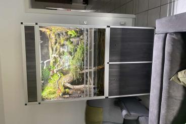 Terrarien kaufen und verkaufen Foto: Paludarium + Lichtkasten u. Unterschrank Terrarien kaufen und verkaufen Foto: Paludarium + Lichtkasten u. Unterschrank