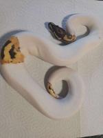 Bild 8/9