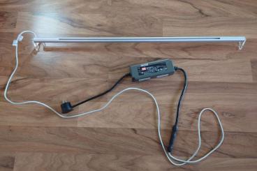supplies kaufen und verkaufen Photo: LED Lampe für Poolaquarien supplies kaufen und verkaufen Photo: LED Lampe für Poolaquarien