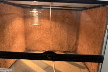 Terrarien kaufen und verkaufen Foto: verkaufe 2 Exo Terra 60x45x45 Terrarien kaufen und verkaufen Foto: verkaufe 2 Exo Terra 60x45x45