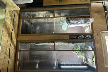 Terrarien kaufen und verkaufen Photo: Terrarien mit Technik als Set Terrarien kaufen und verkaufen Photo: Terrarien mit Technik als Set