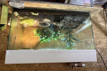 Terrarien kaufen und verkaufen Photo: Lucky Reptil Starter Set mit Zubehör Terrarien kaufen und verkaufen Photo: Lucky Reptil Starter Set mit Zubehör