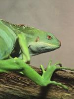 Bild 7/7