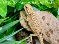 Bild 2/5