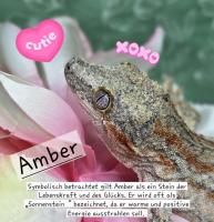 Bild 3/5