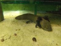 Bild 9/12