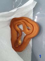 Bild 9/9