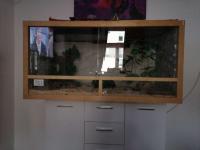 Bild 3/3