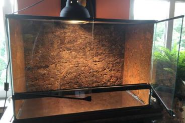 Terrarien kaufen und verkaufen Foto: verkaufe Terrarium mit Lampen Terrarien kaufen und verkaufen Foto: verkaufe Terrarium mit Lampen