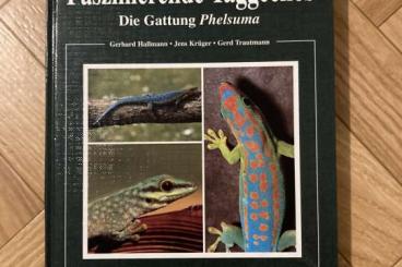 Books & Magazines kaufen und verkaufen Photo: Faszinierende Taggeckos Gattung Phelsuma