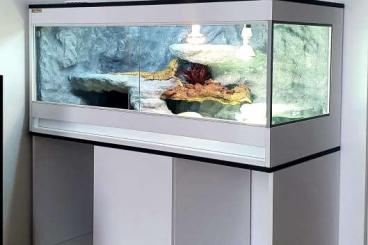 Terrarien kaufen und verkaufen Foto: Sonderanfertigung von Terrarien, Aquarien Terrarien kaufen und verkaufen Foto: Sonderanfertigung von Terrarien, Aquarien
