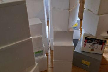 Zubehör kaufen und verkaufen Foto: 40 Styroporboxen teilweise mit Karton