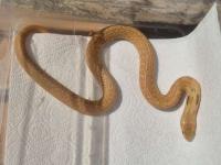 Bild 8/9