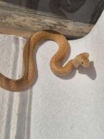 Bild 9/9
