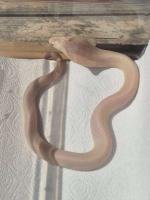 Bild 7/9